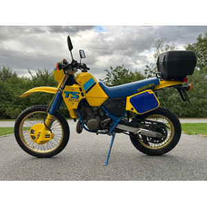 SUZUKI TS 250X
