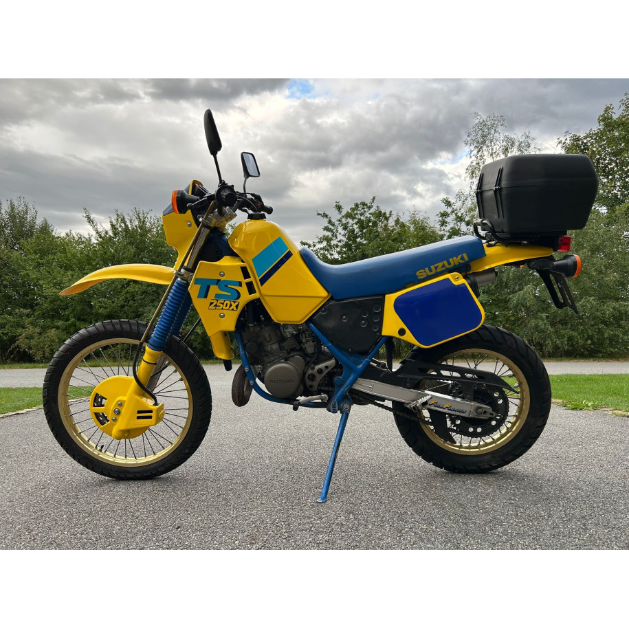 SUZUKI TS 250X
