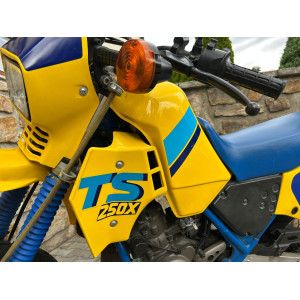 SUZUKI TS 250X